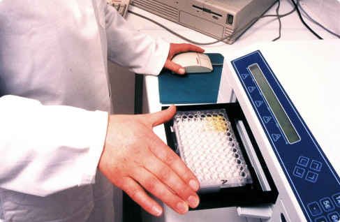 PCR Disease Testing